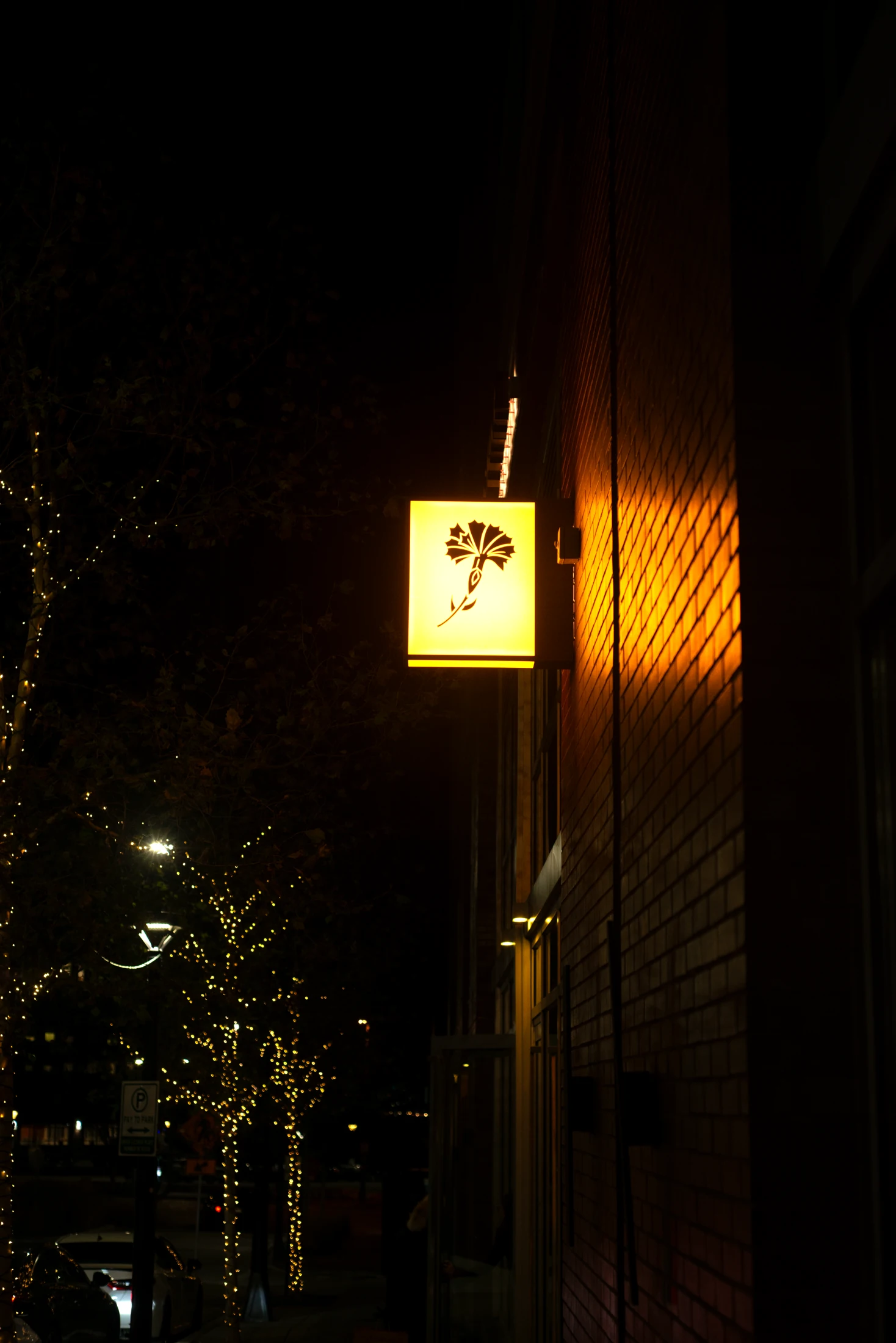Josefina’s illuminated carnation sign on Point Street at night